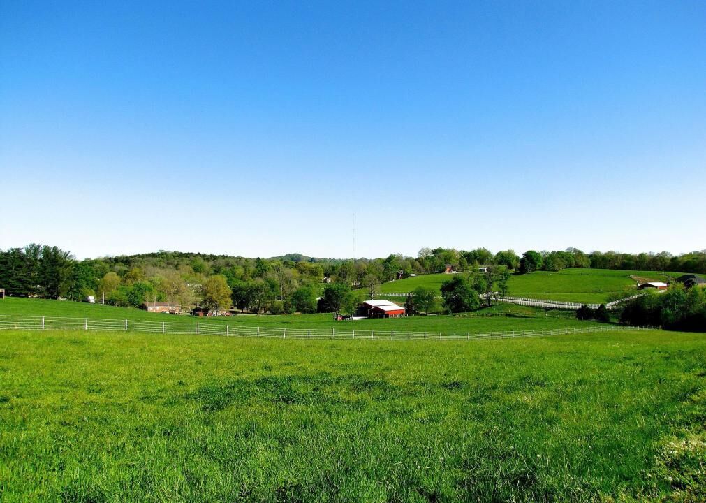 #38. Smith County